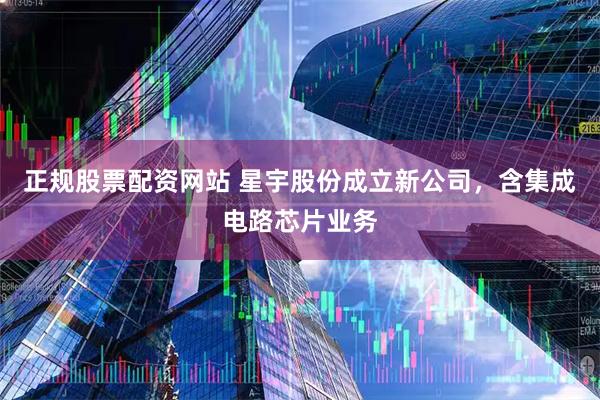 正规股票配资网站 星宇股份成立新公司，含集成电路芯片业务
