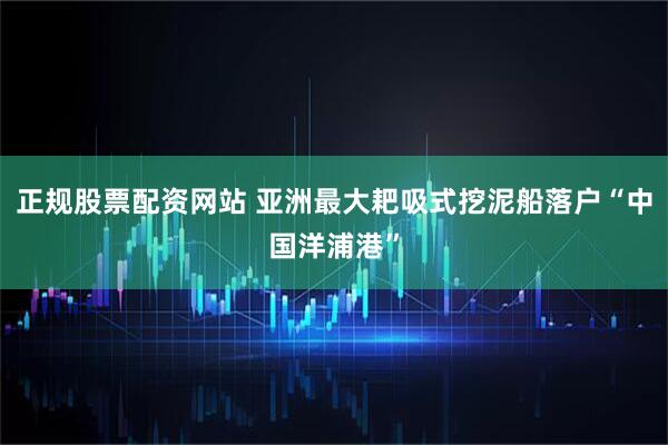 正规股票配资网站 亚洲最大耙吸式挖泥船落户“中国洋浦港”